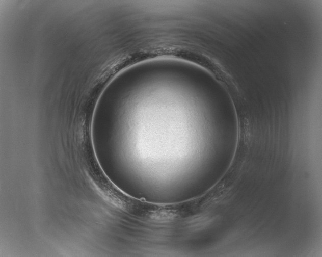 X0000077990451200610271115
