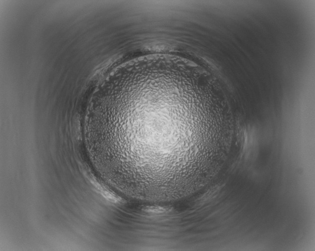 X0000077990453200610271115