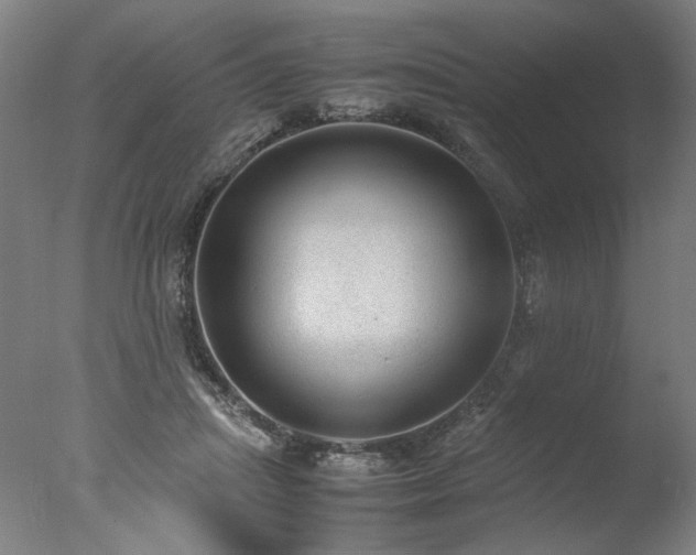 X0000077990455200610271115