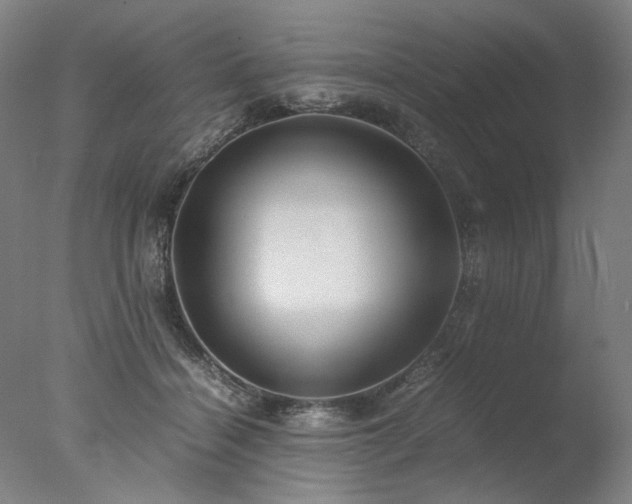 X0000077990460200610271115