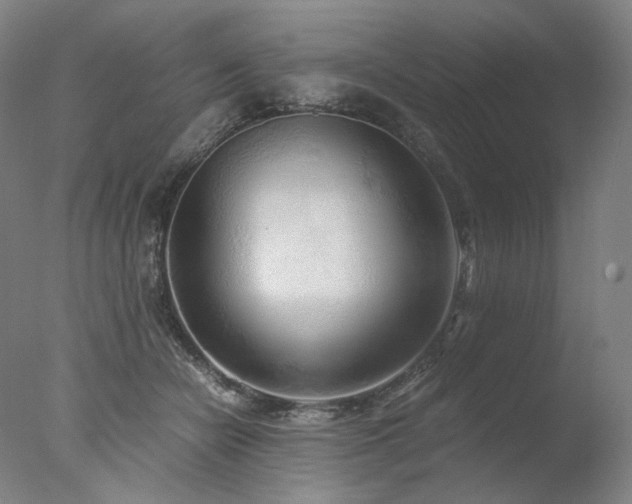 X0000077990462200610271115
