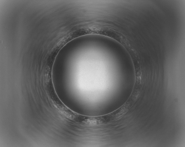 X0000077990464200610271115