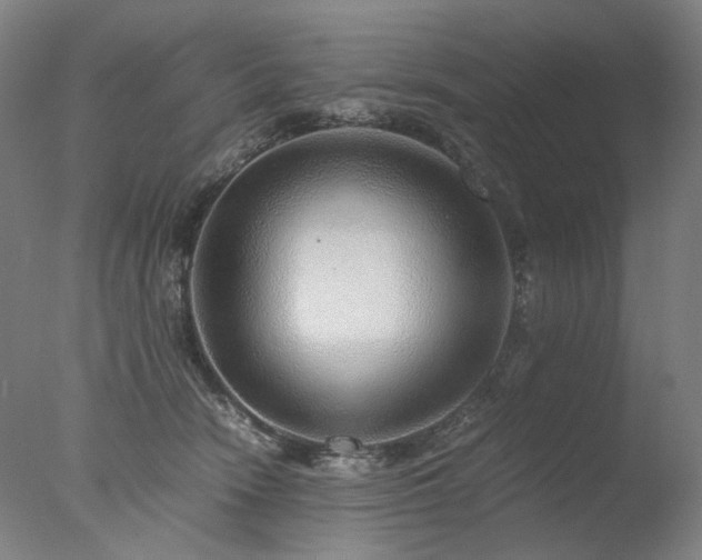 X0000077990466200610271115