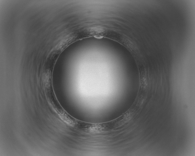 X0000077990468200610271115