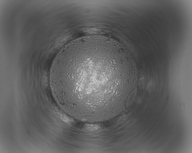 X0000077990469200610271115
