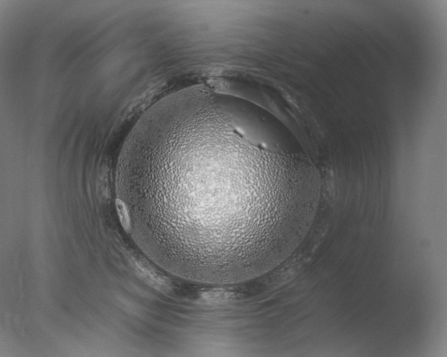 X0000077990470200610271115