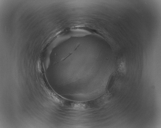 X0000077990471200610271115