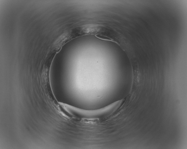 X0000077990475200610271115