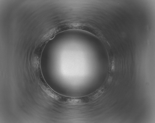 X0000077990476200610271115