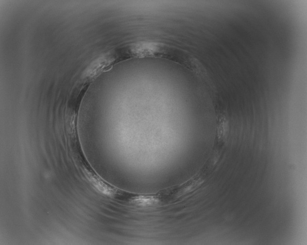 X0000077990477200610271115