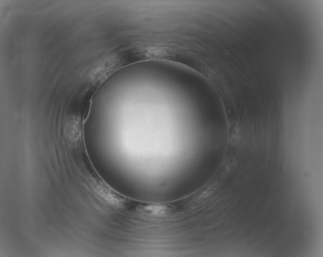 X0000077990478200610271115