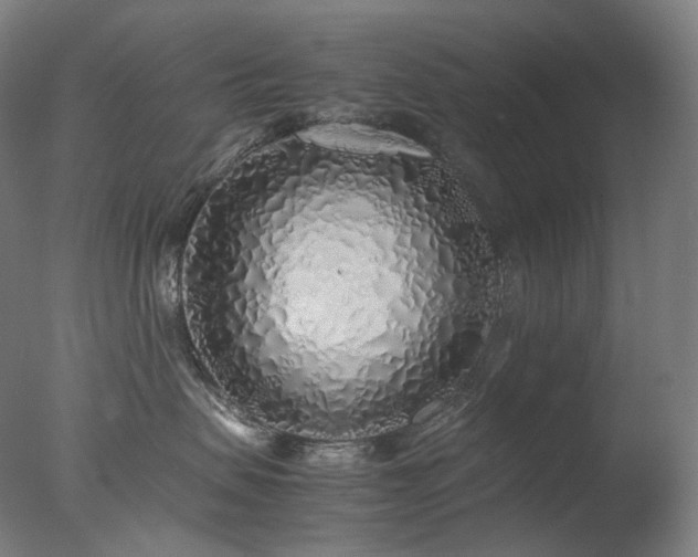X0000077990479200610271115