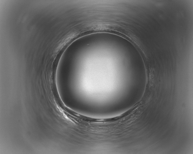 X0000077990485200610271114