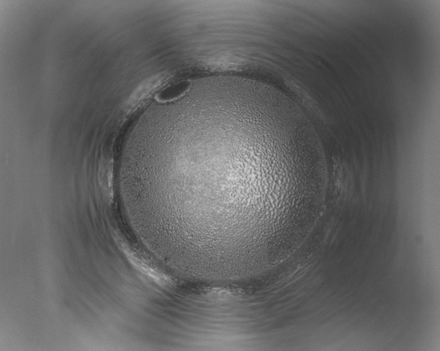 X0000077990494200610271114