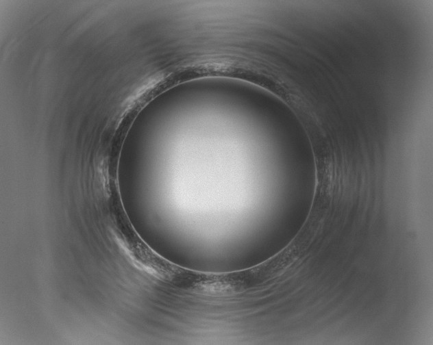 X0000077990500200610271114