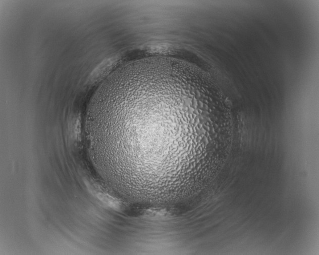X0000077990502200610271114