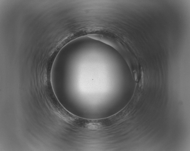 X0000077990508200610271114