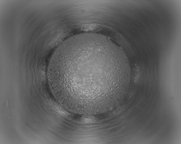 X0000077990510200610271114