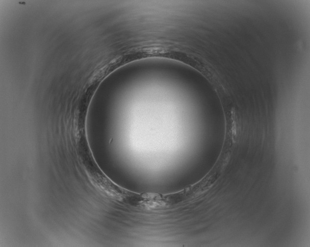 X0000077990512200610271114