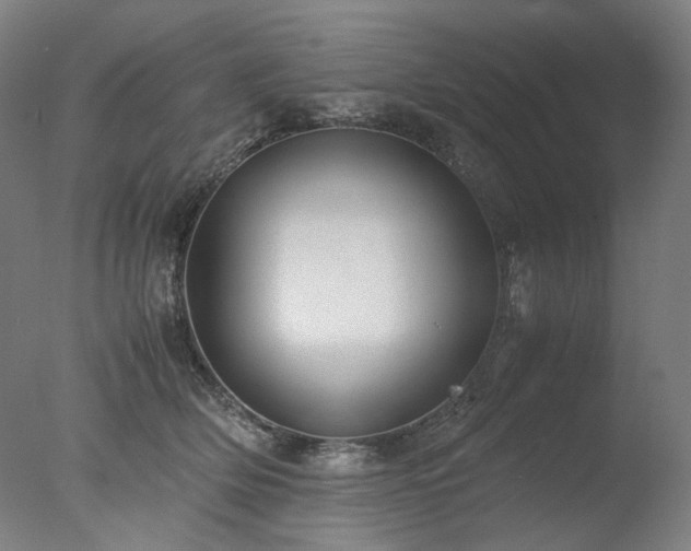 X0000077990514200610271114