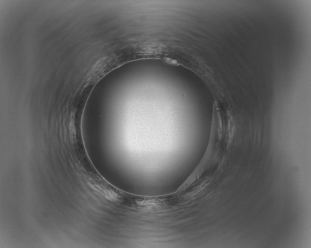 X0000077990516200610271114