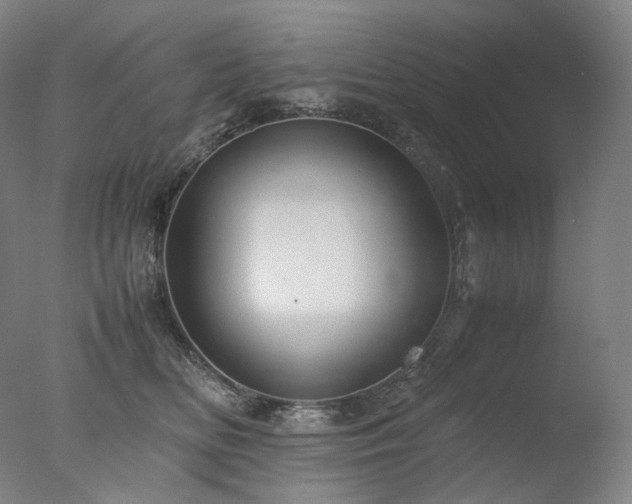 X0000077990518200610271114