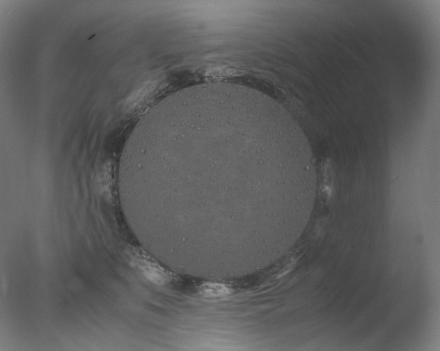 X0000077990519200610271114