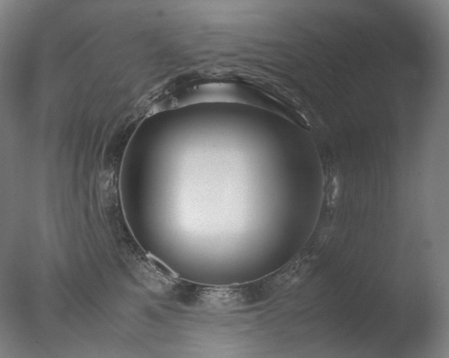 X0000077990521200610271114