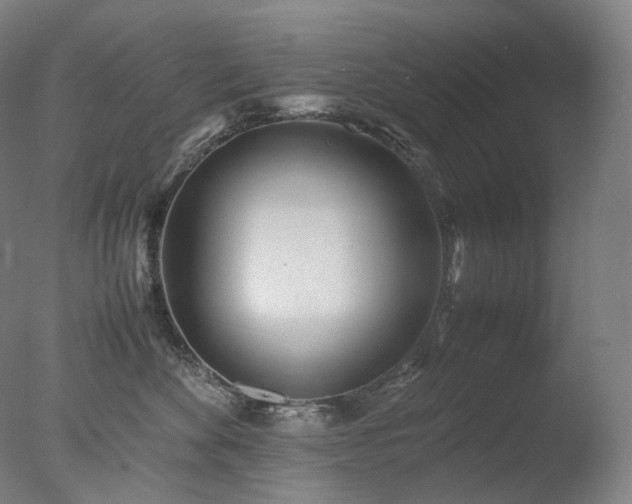 X0000077990524200610271114