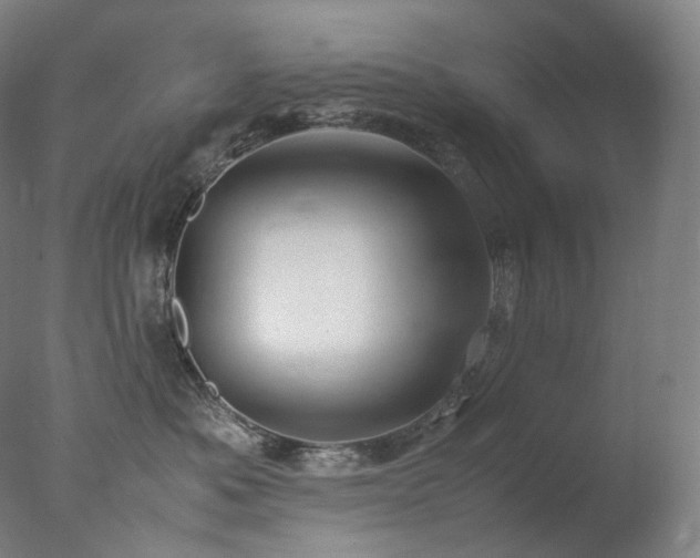 X0000077990525200610271114