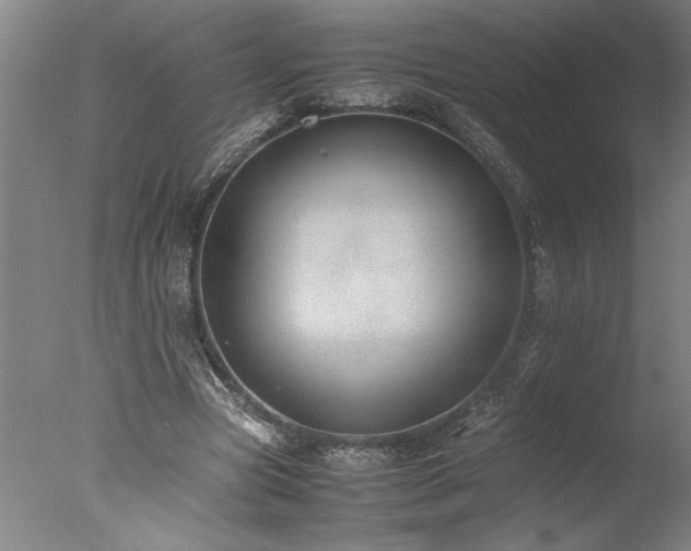 X0000077990537200610271113