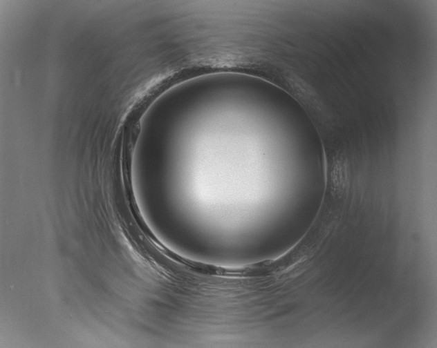 X0000077990540200610271113