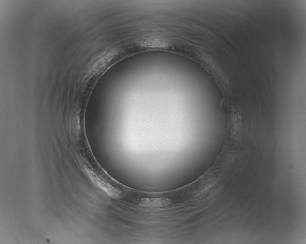 X0000077990541200610271113