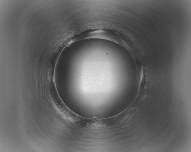 X0000077990546200610271113