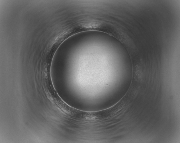 X0000077990547200610271113
