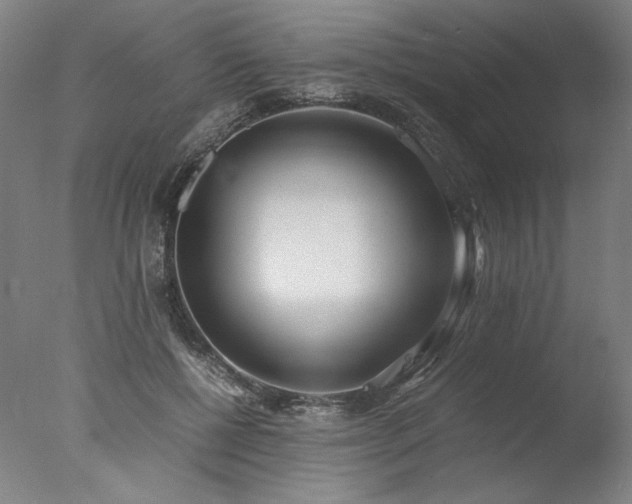 X0000077990552200610271113