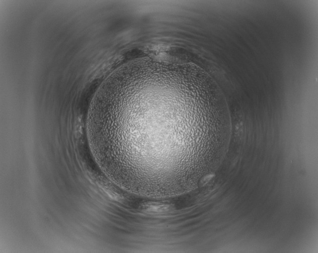 X0000077990555200610271113