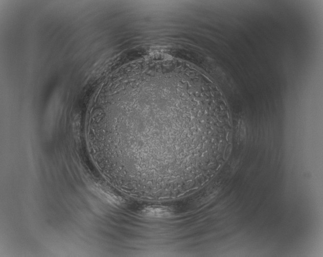 X0000077990557200610271113