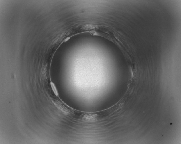 X0000077990560200610271113