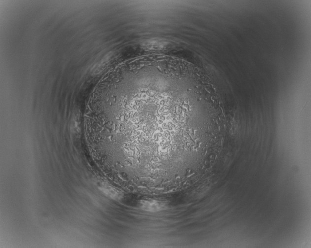 X0000077990561200610271113