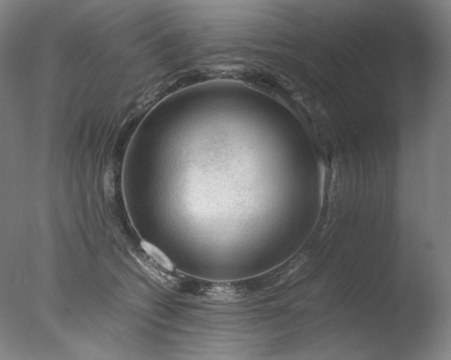 X0000077990562200610271113