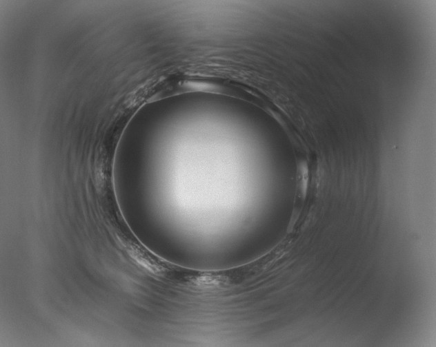 X0000077990566200610271113