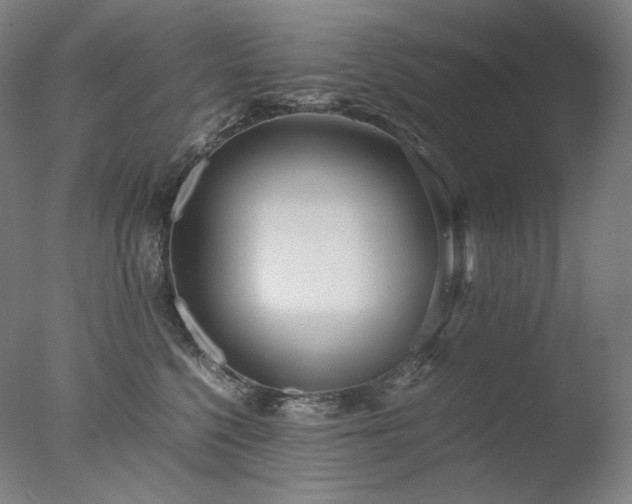 X0000077990568200610271113