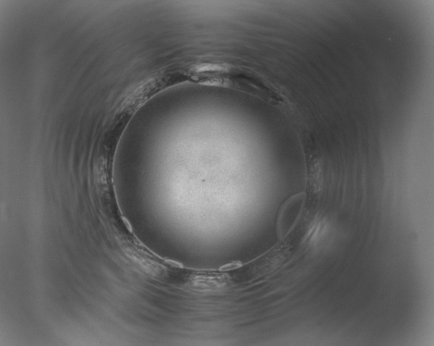 X0000077990571200610271113