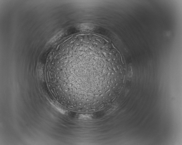X0000077990573200610271113