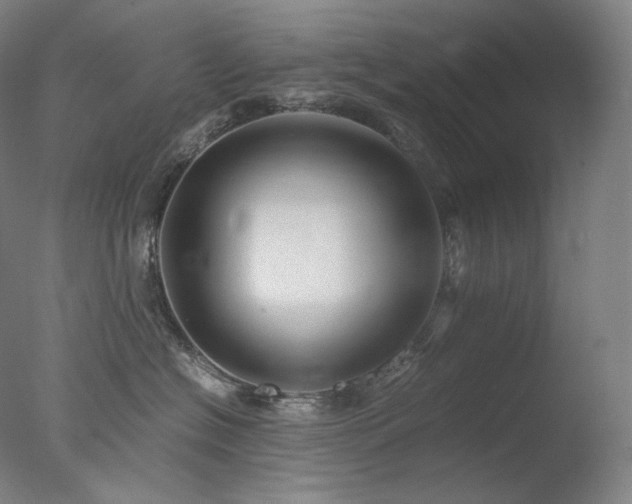 X0000077990574200610271114