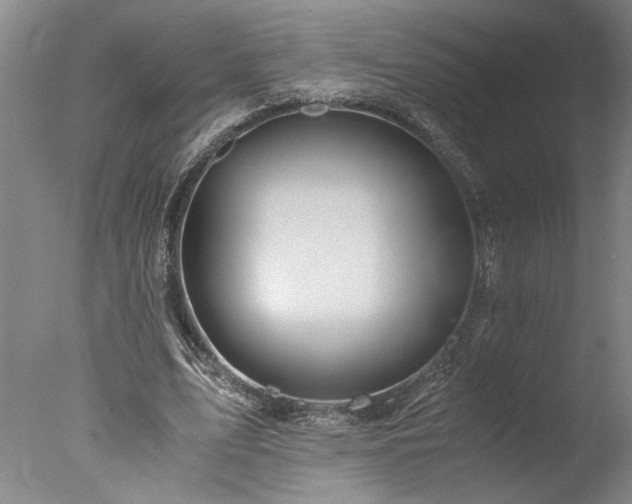 X0000077990583200610271113