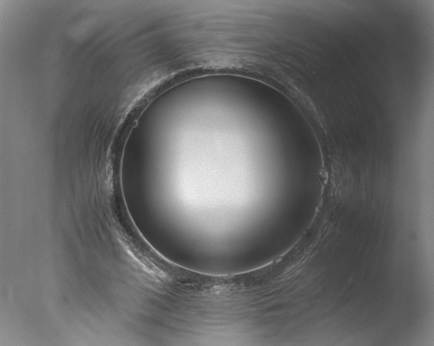 X0000077990584200610271113