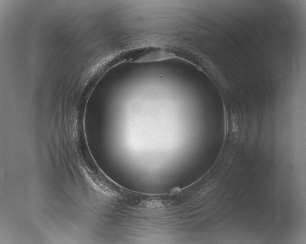 X0000077990588200610271113