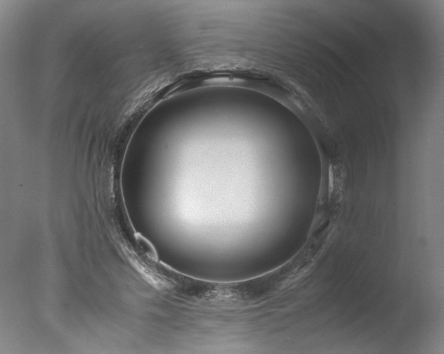 X0000077990589200610271113